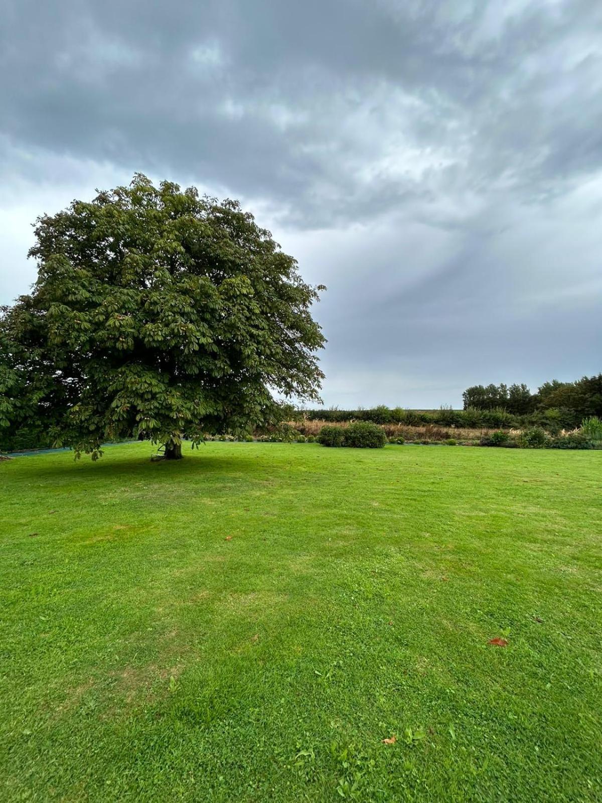 La Nora Jolie Villa Tocqueville-sur-Eu Bagian luar foto